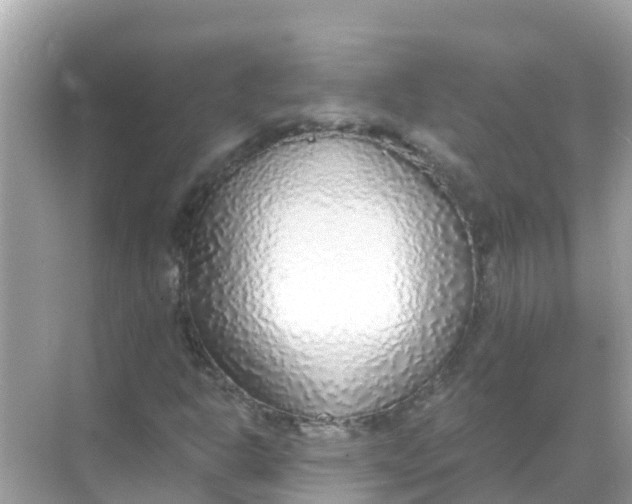 X0000068301302200605051923