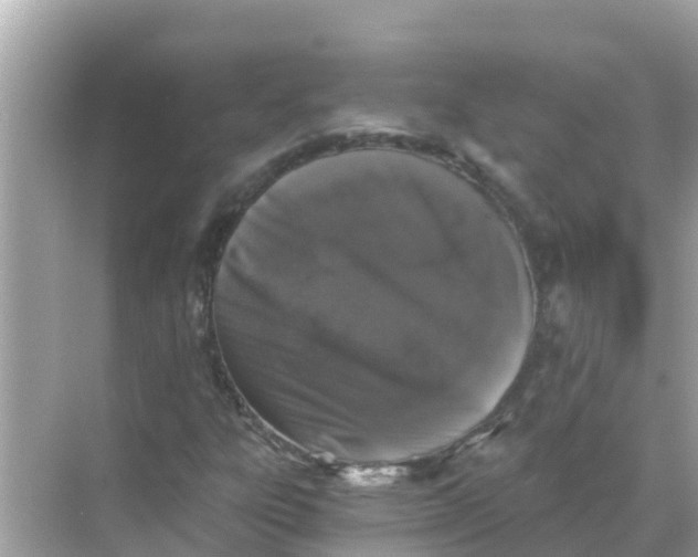 X0000068301303200605051923