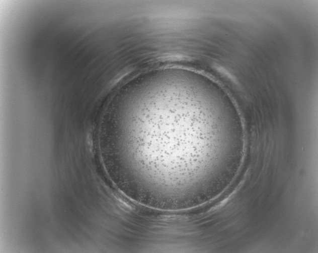 X0000068301305200605051923