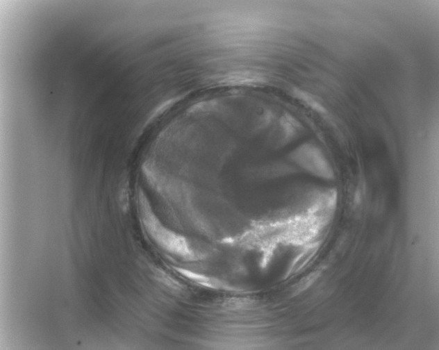 X0000068301306200605051923