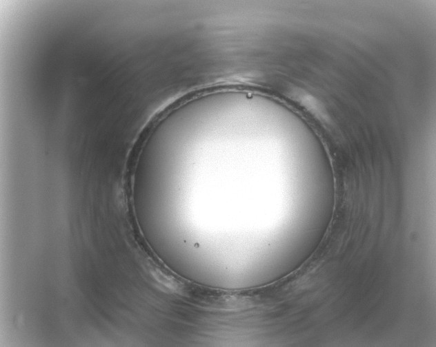 X0000068301308200605051923