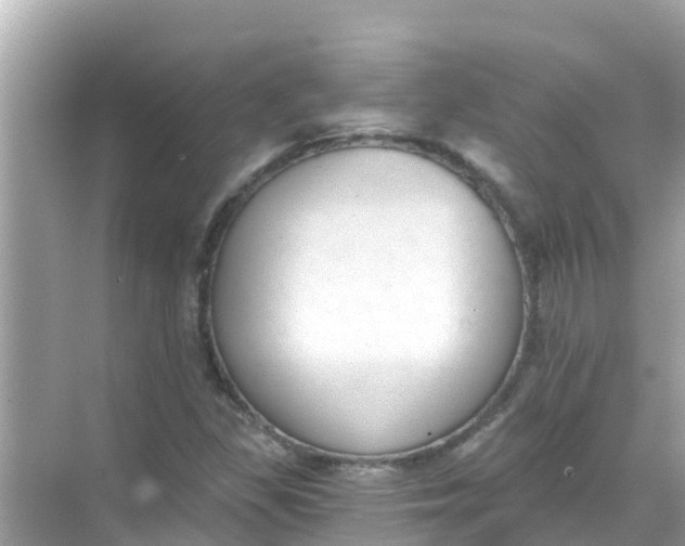 X0000068301309200605051923