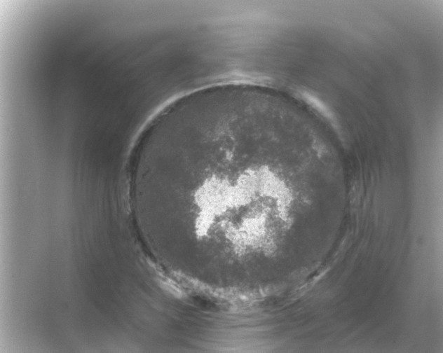 X0000068301310200605051923