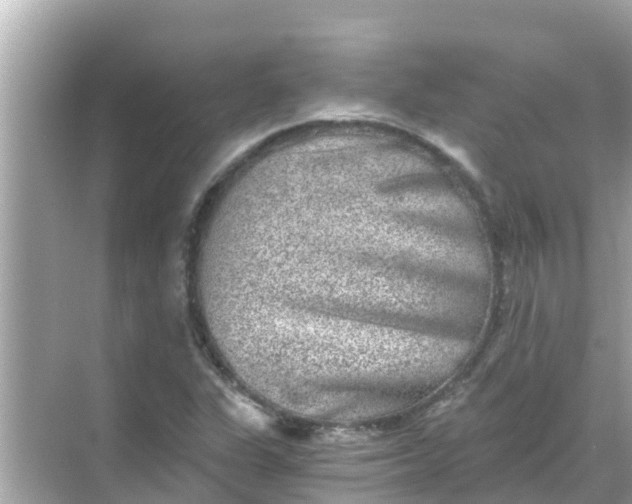 X0000068301311200605051923