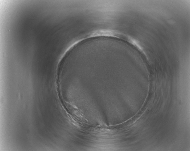 X0000068301312200605051923