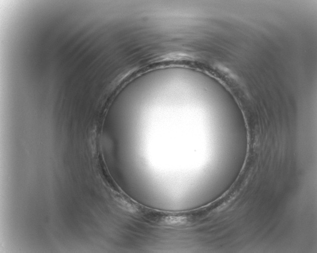 X0000068301313200605051923