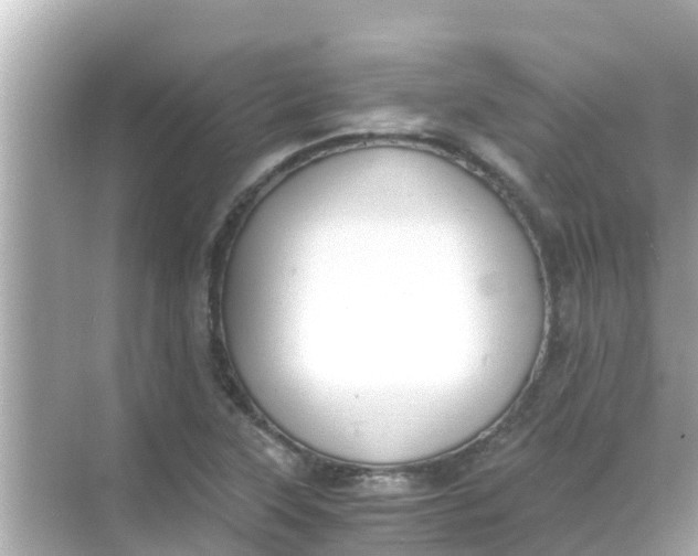 X0000068301315200605051923