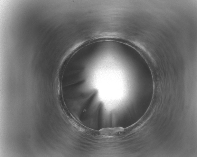 X0000068301317200605051923