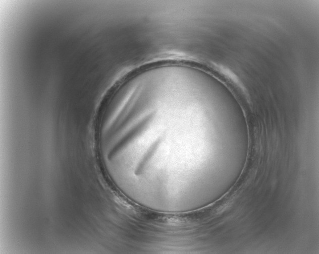 X0000068301318200605051923