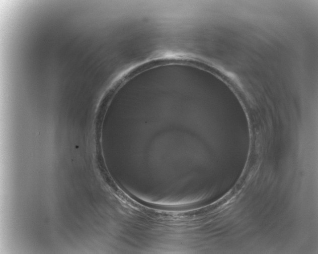 X0000068301319200605051923