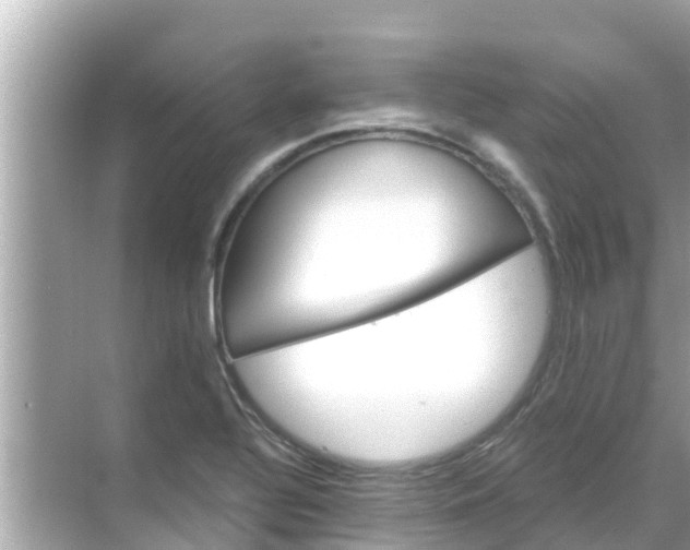 X0000068301320200605051923