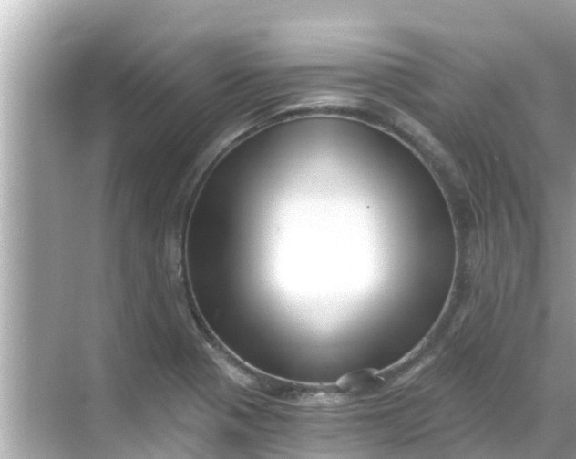 X0000068301321200605051923