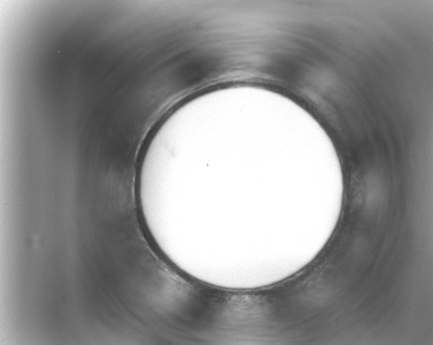 X0000068301322200605051923