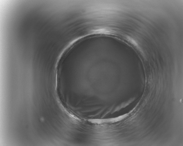 X0000068301323200605051923