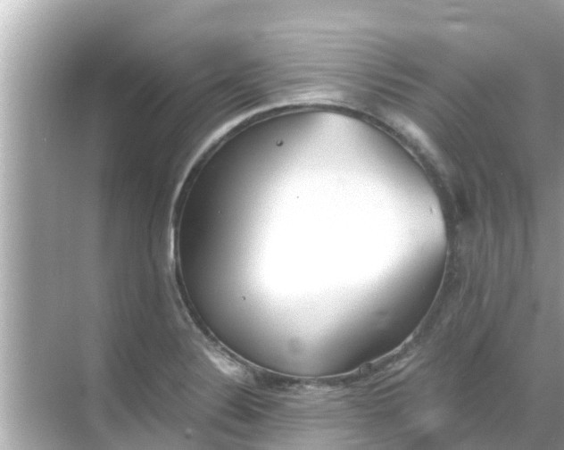 X0000068301324200605051923