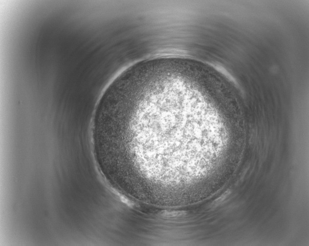 X0000068301325200605051923