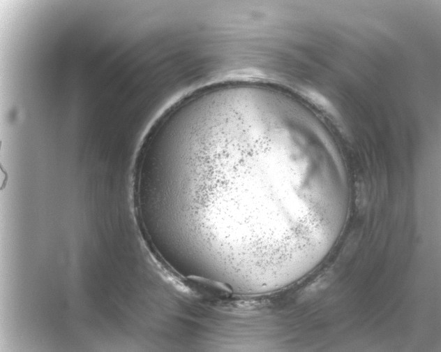 X0000068301326200605051923