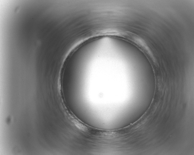 X0000068301328200605051923