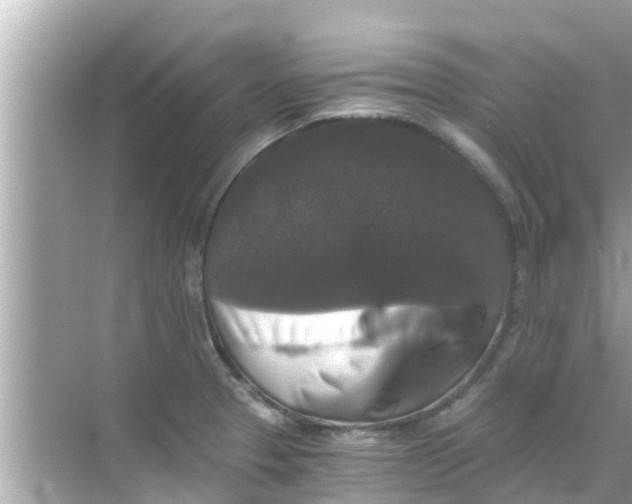 X0000068301329200605051923