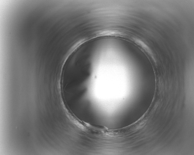 X0000068301330200605051923