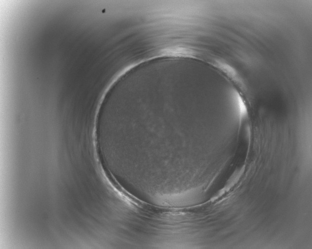 X0000068301331200605051923