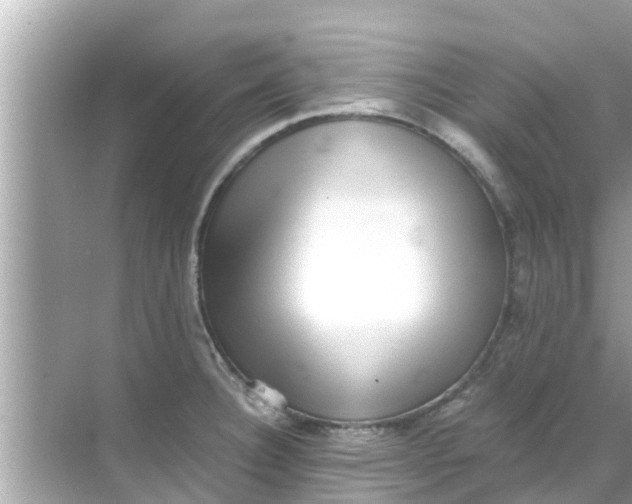 X0000068301332200605051923