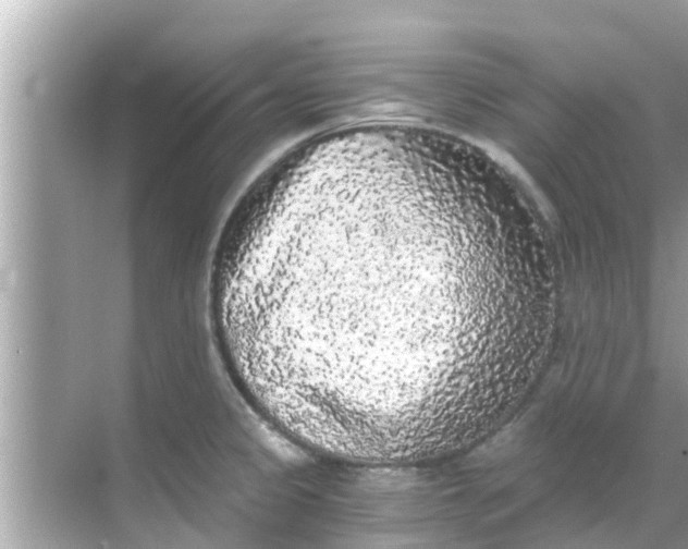 X0000068301333200605051923