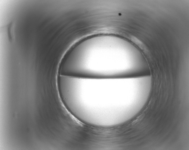 X0000068301334200605051923