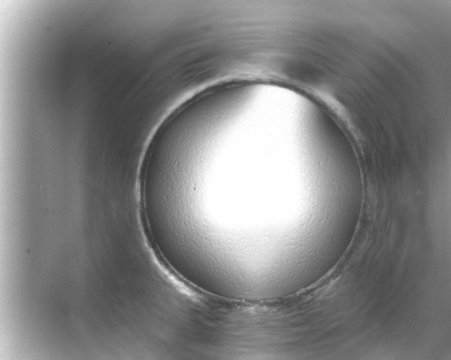 X0000068301335200605051923