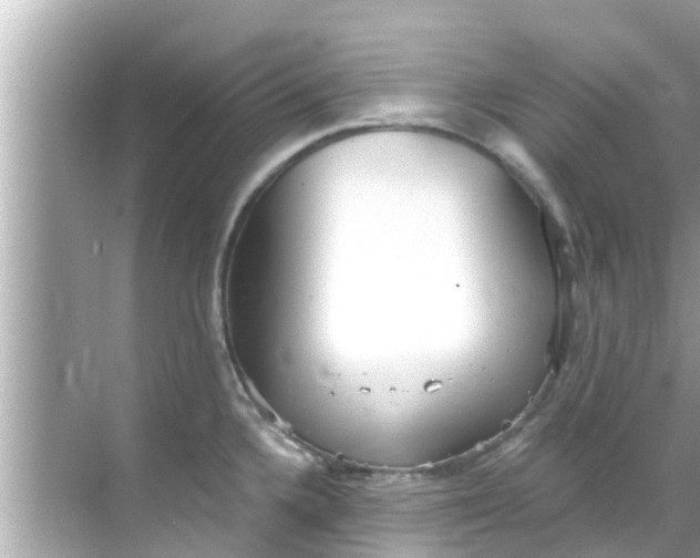 X0000068301336200605051923