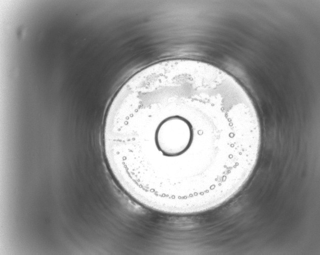 X0000068301338200605051923