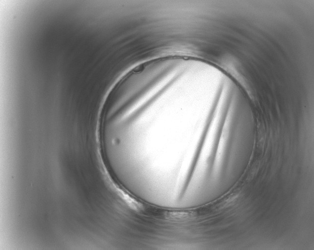 X0000068301339200605051923