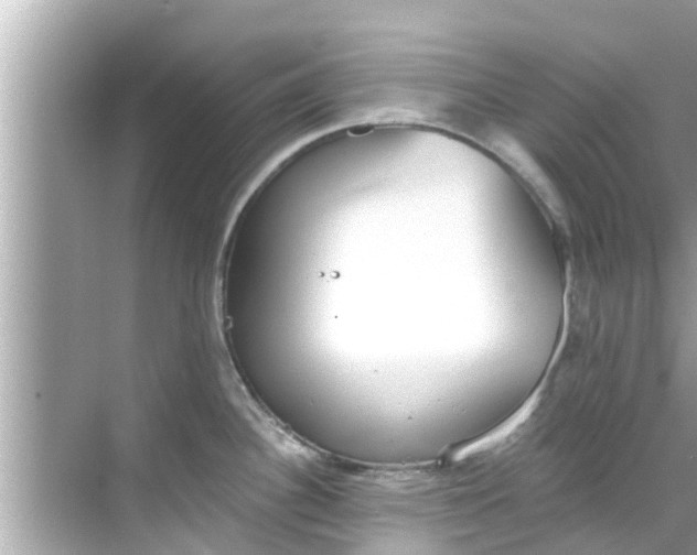 X0000068301340200605051923