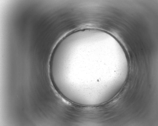 X0000068301341200605051923