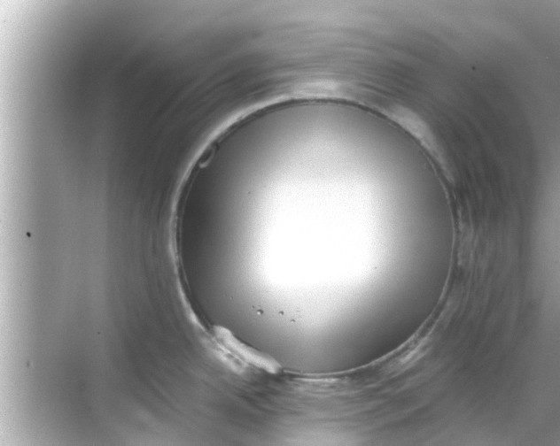 X0000068301342200605051923