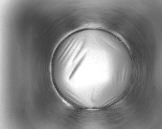 X0000068301343200605051923