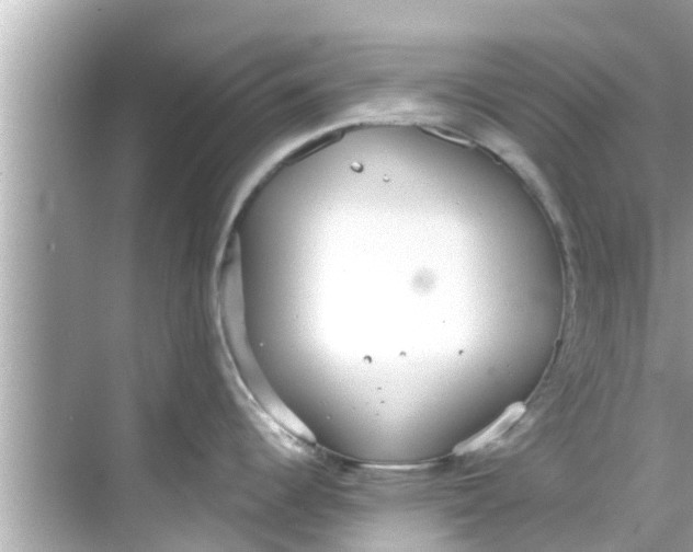 X0000068301344200605051923