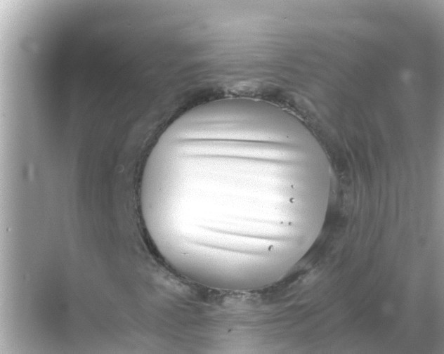 X0000068301345200605051922