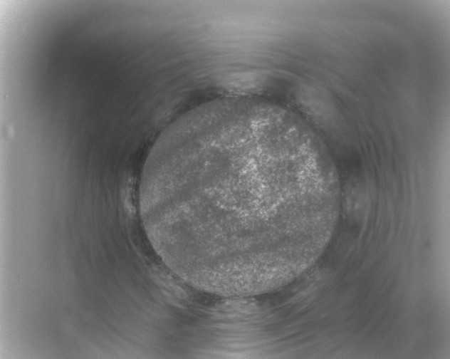 X0000068301346200605051922