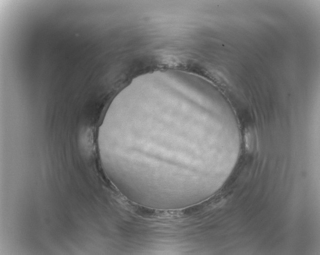 X0000068301347200605051922