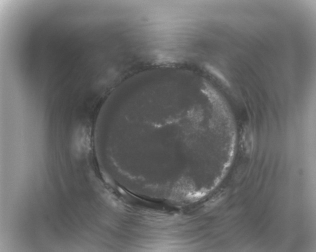 X0000068301348200605051922