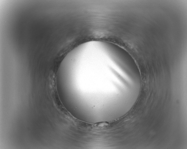 X0000068301349200605051922