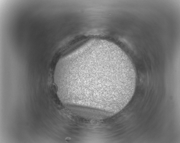 X0000068301350200605051922