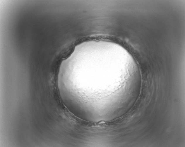 X0000068301351200605051922