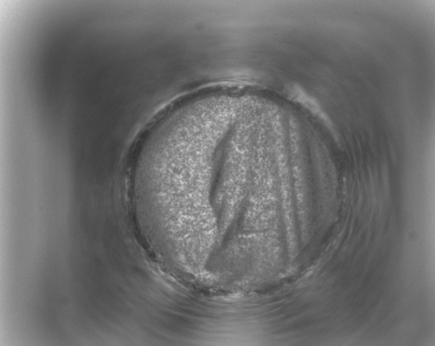 X0000068301352200605051922