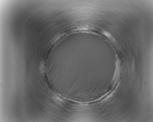 X0000068301353200605051922