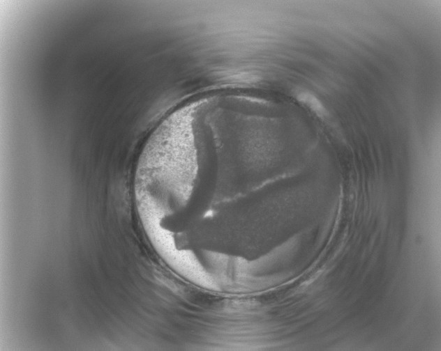 X0000068301354200605051922