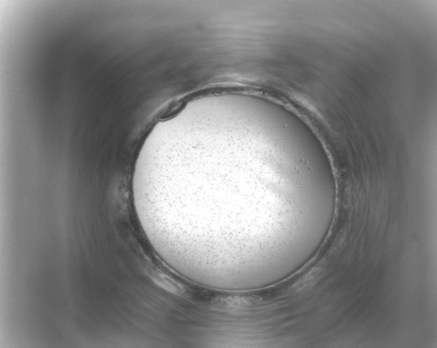 X0000068301355200605051922