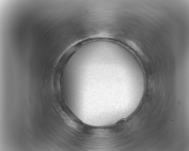 X0000068301356200605051922