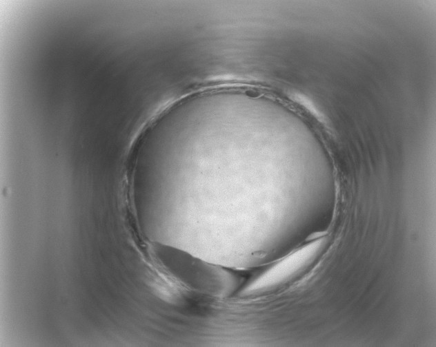 X0000068301357200605051922